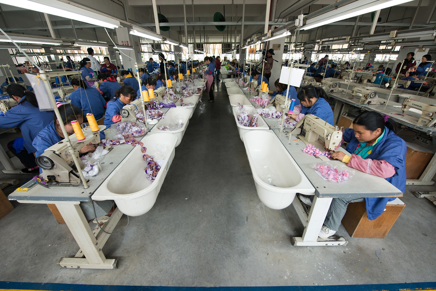 20190109_Shine Report.jpg