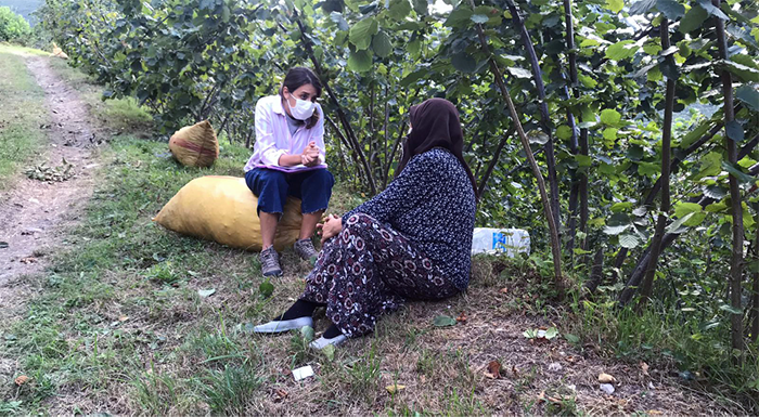 Pilot of a Business-driven Model to Enable Child Labour Prevention, Remediation and Child Protection in the Hazelnut Supply Chain in Turkey 